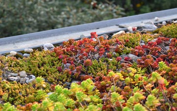 the cost of Limpsfield Common green roof installation
