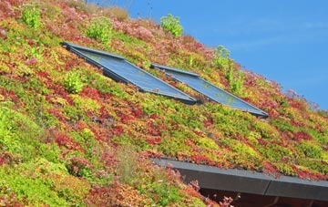 Limpsfield Common living roof systems